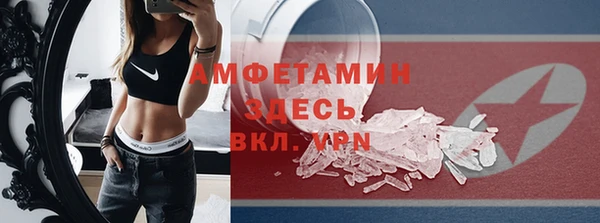 стаф Вяземский