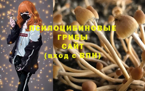 шишки Вязники