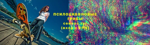 стаф Вяземский