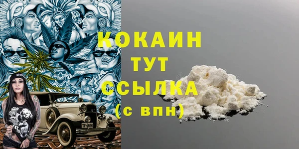 твердый Горняк