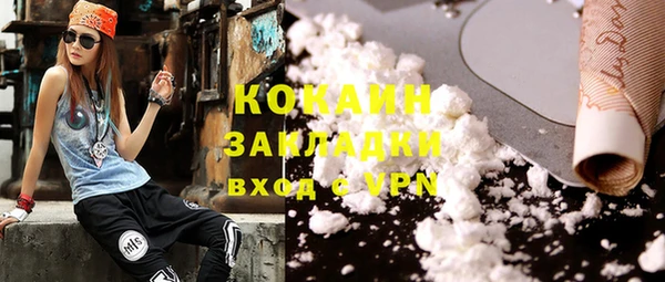стаф Вяземский