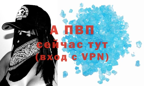 шишки Вязники