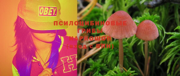 стаф Вяземский
